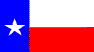 State flag of Texas